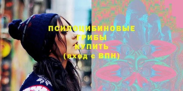 дурь Алексеевка